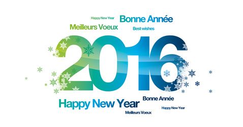 Bonne annee 2016