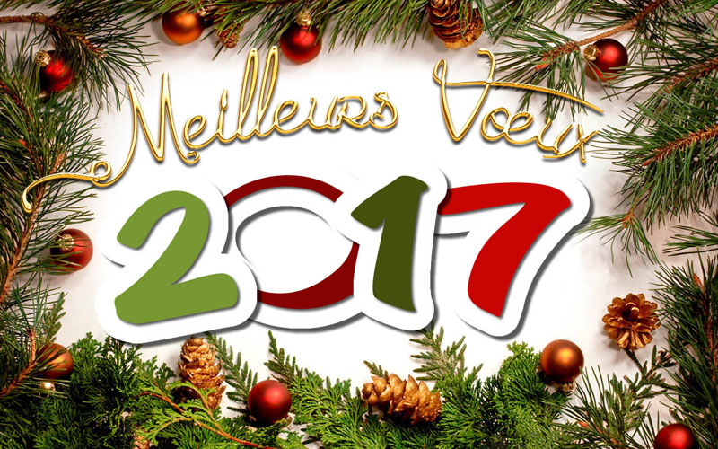 bonne annee 2017